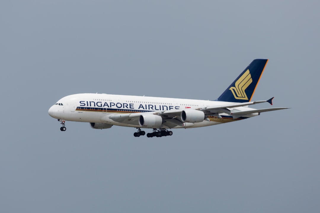 Singapore Airlines free tour